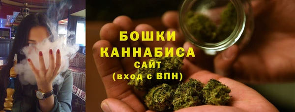 прущий лед Краснослободск