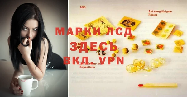 ALPHA-PVP Гусев