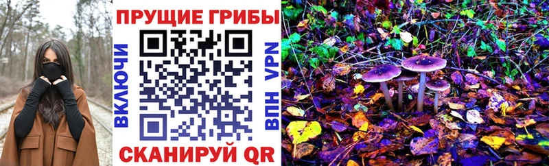 Псилоцибиновые грибы MAGIC MUSHROOMS  Вихоревка 