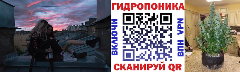 блэк спрут ONION Вихоревка Конопля VHQ